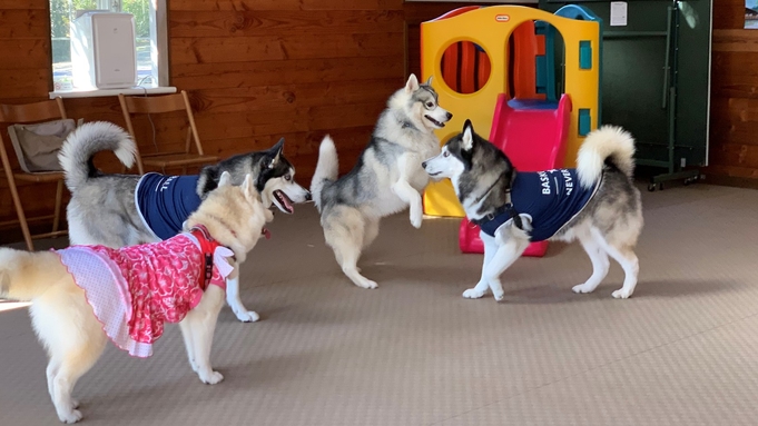 ★愛犬と楽しむ八ケ岳！清里の自然をワンちゃんと満喫！★【1泊朝食付プラン】♪